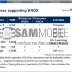 knox1