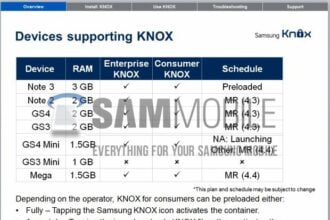 knox1