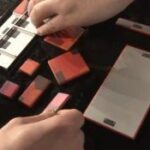 projectara1