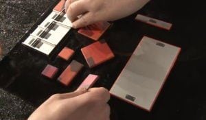 projectara1