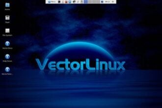 vector