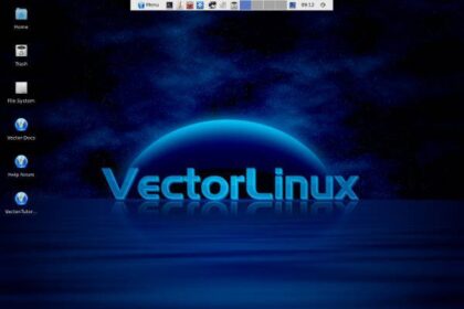 vector