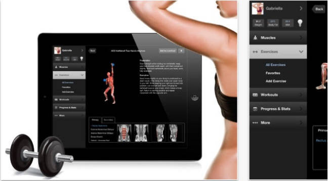 Conheça os 5 aplicativos para entrar em forma! Conheça os 5 aplicativos para entrar em forma!