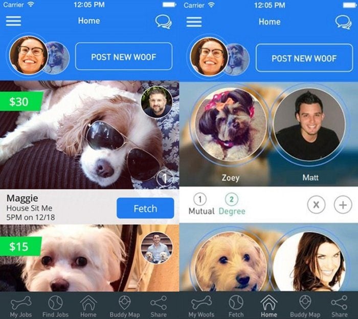 Conheça 6 aplicativos indispensáveis para donos de animais de estimação doggybnb