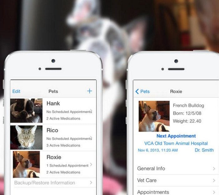 Conheça 6 aplicativos indispensáveis para donos de animais de estimação pet-dog-app-indispensaveis