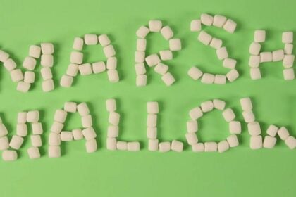 nova versao android 6 0 marshmallow