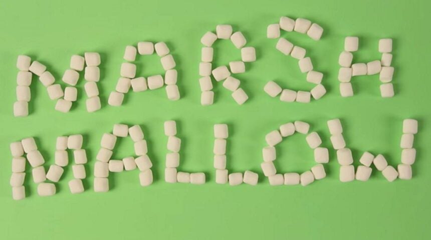 nova versao android 6 0 marshmallow