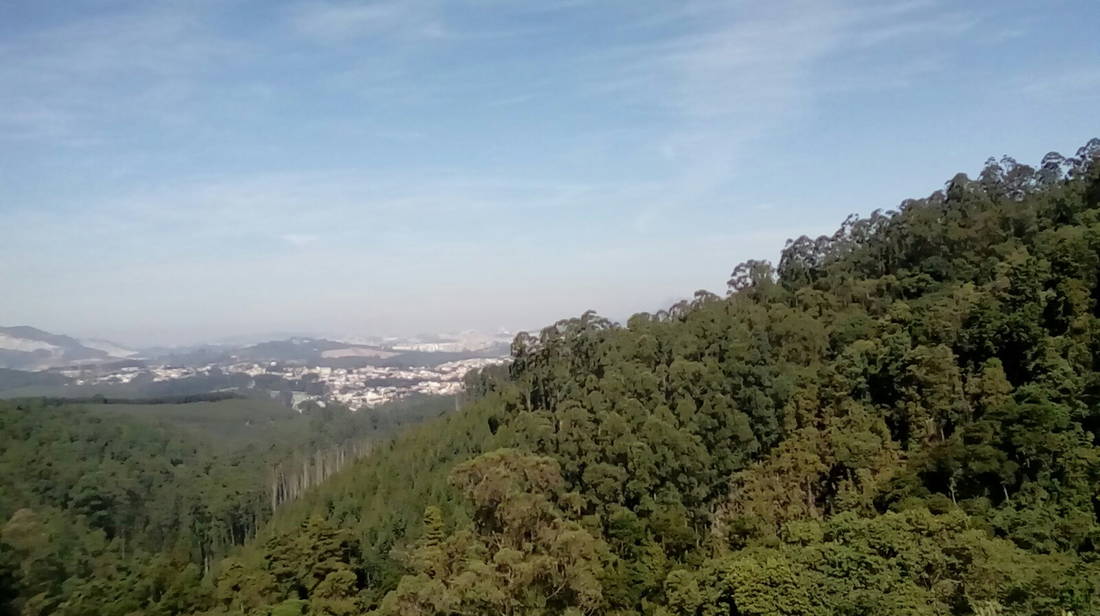 Análise/Review do LG K4: Um low-end bom de briga k4 foto 2