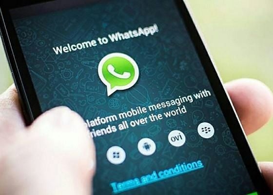 Brasil será o segundo país a receber o WhatsApp for Business WhatsApp