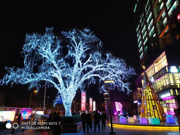 Redmi Note 7 ganha o Night Scene para fotos em ambientes com pouca luz foto tirada do redmi note 7 de uma arvore iluminada