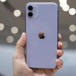 Apple iPhone 11 Brasil.
