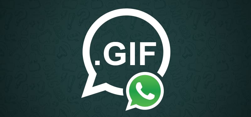 WhatsApp corrige bug que possibilitava invasão através de GIFs whatsapp gifs
