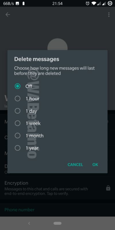 whatsapp mensagem programada apagar