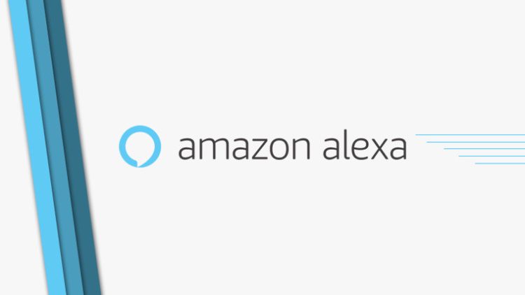 Amazon Echo começa receber função de videochamada nos EUA amazon aleaxa video conferencia