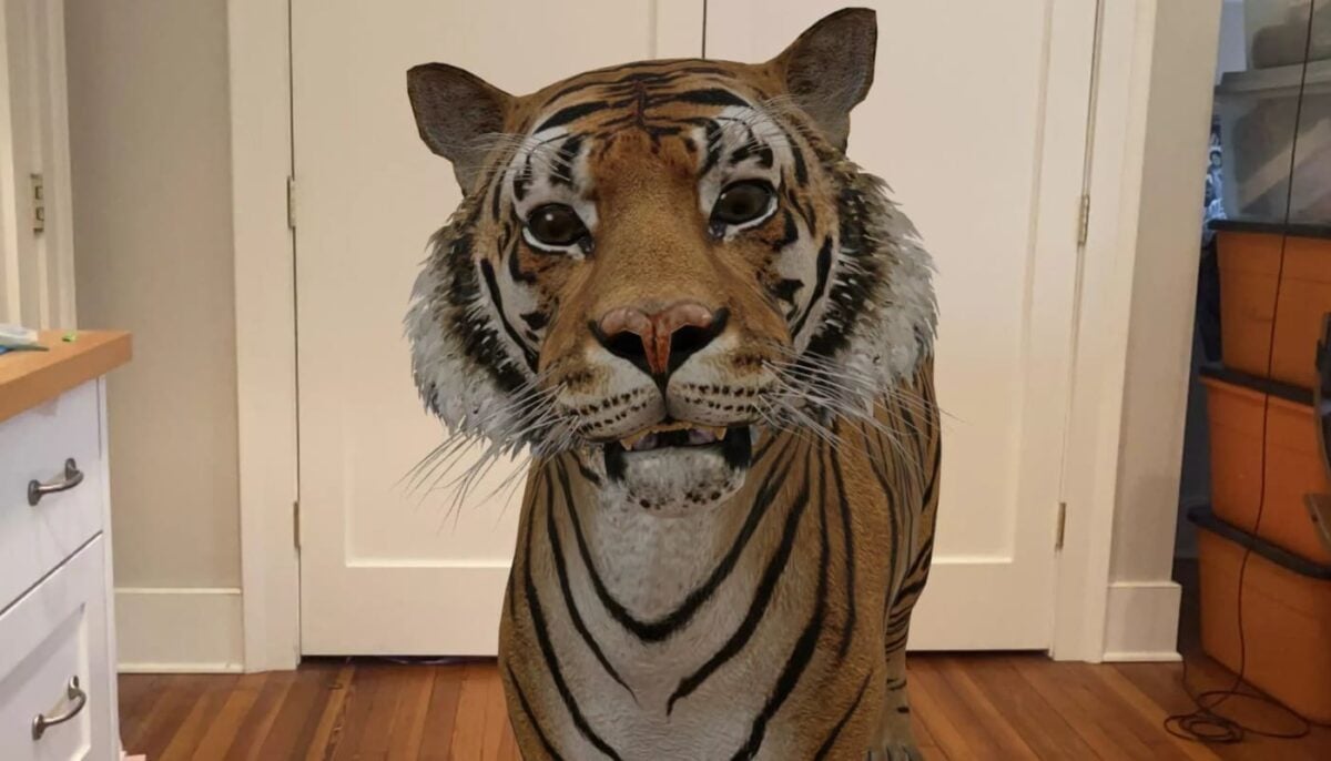 animais realidade aumentada