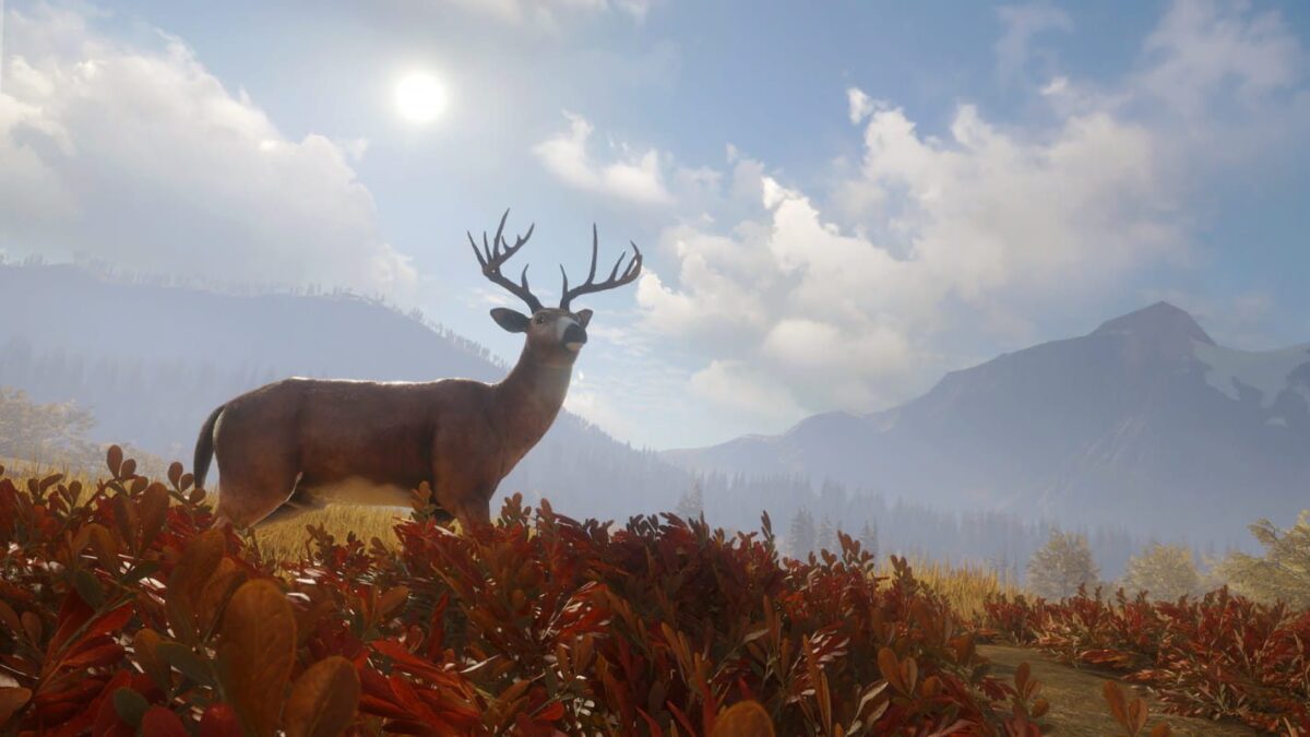theHunter Call of the Wild