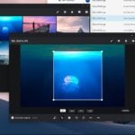 chromeos material design