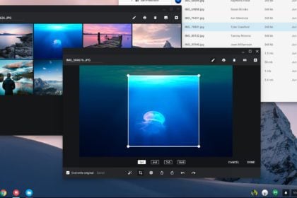 chromeos material design