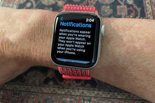 Apple Watch salva vida de usuário enviando alertas sobre respiração Alertas do Apple Watch salvam usuário