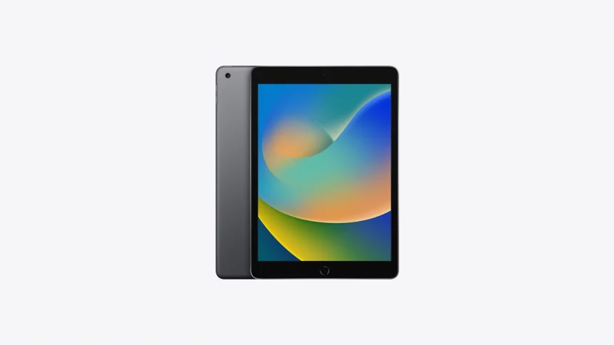 ipad 9th generation cinza