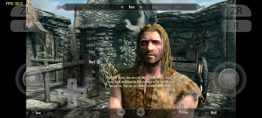 Emulador Yuzu para Nintendo Switch chega ao Android skyrim yuzu