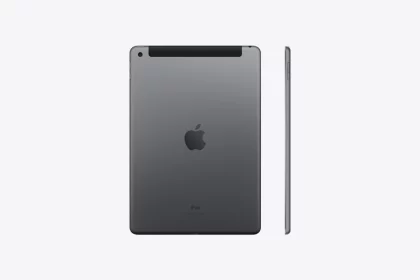 ipad 9 cinza