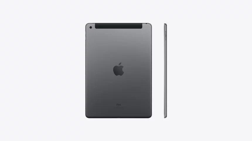 ipad 9 cinza