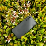 Traseira do Galaxy A14