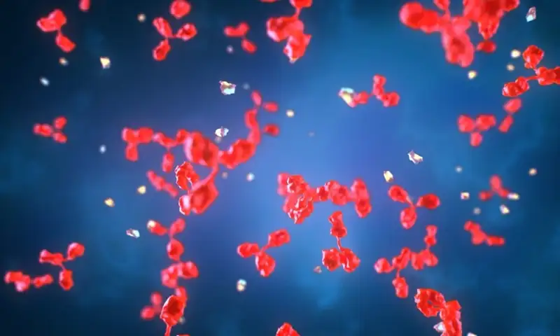 nanorrobos cura cancer